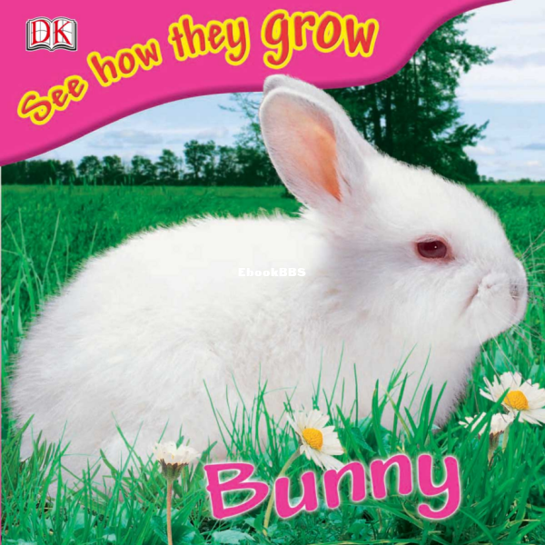 bunny-see-how-they-grow - 1.png