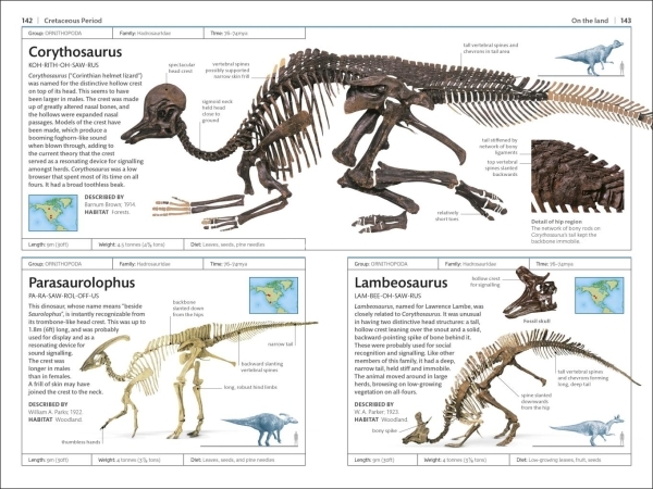 DK-Handbook-Dinosaurs-and-Other-Prehistoric-Life-DK-Handbooks-2021-DK-Libgen-l2.jpg