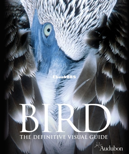 Bird - The Definitive Visual Guide.jpg