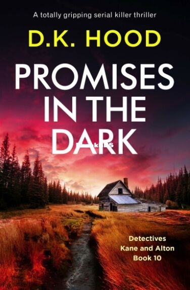 Promises in the Dark.jpg