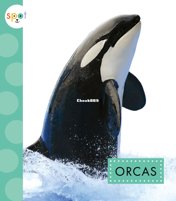 Orcas (Spot Arctic Animals) - 1.png