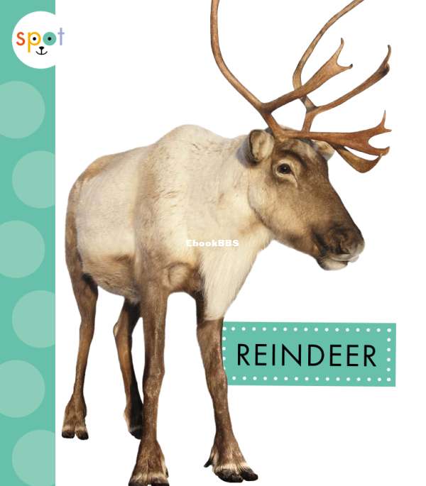 Reindeer (Spot Arctic Animals) - 1.png