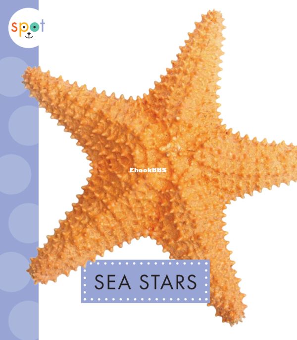 Sea Stars (Spot Ocean Animals) - 1.png