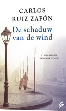 Screenshot_2024-06-09 De schaduw van de wind, N v t 9789056725914 Boeken bol.png