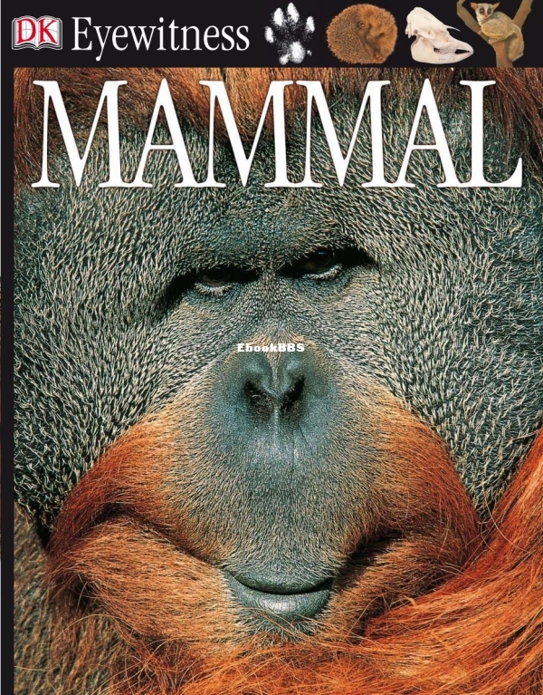 DK Eyewitness Books-Mammal (DK Eyewitness Books) - 1.jpg