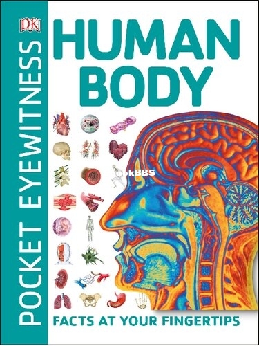 Pocket Eyewitness Human Body - Facts at Your Fingertips.jpg