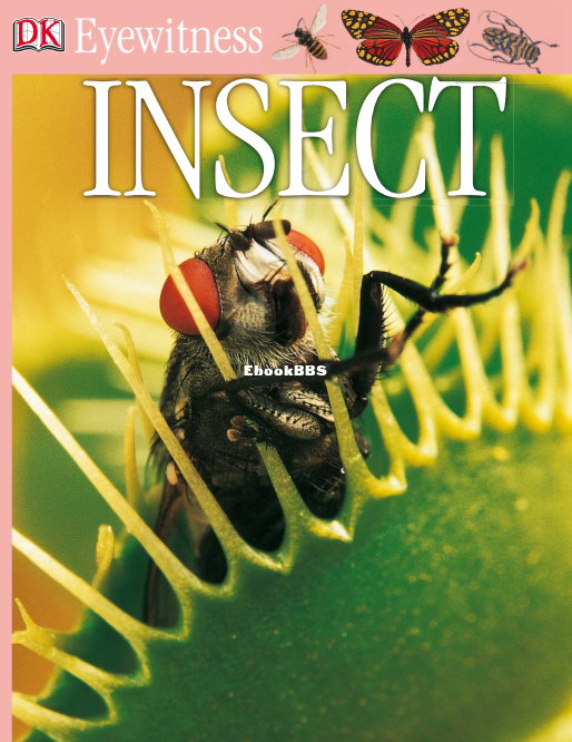 DK Eyewitness - Insect (2007) - 1.png