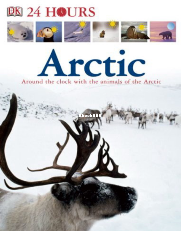 arctic-dk-24-hours - 1.png