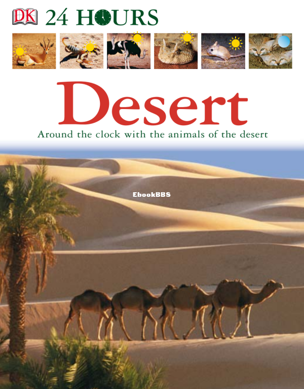 desert-dk-24-hours_compress - 1.png