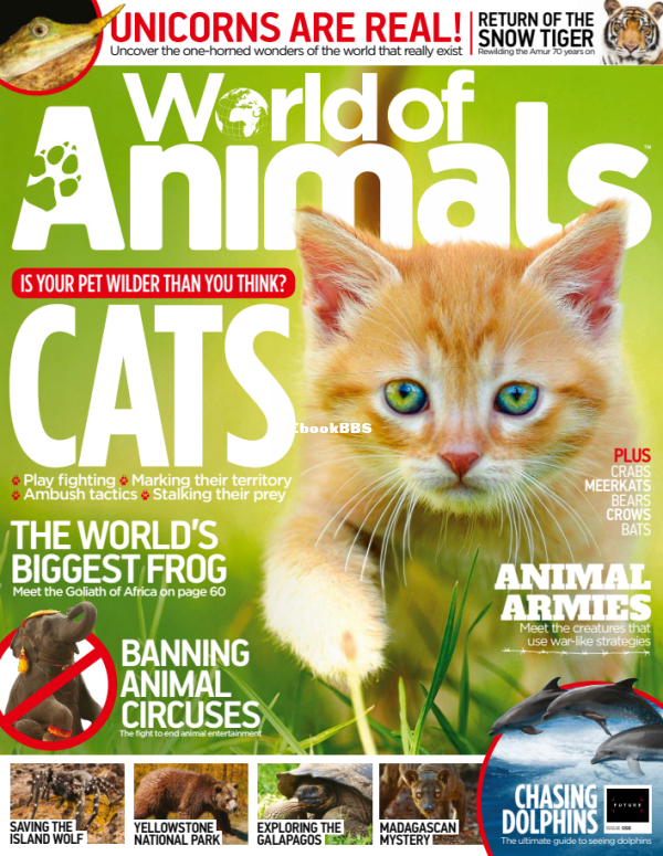 World of Animals - Issue 58, 218 - 1.png