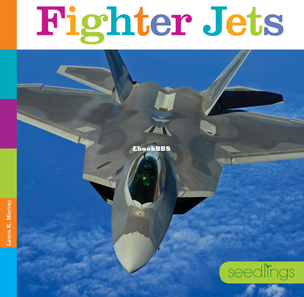 Fighter Jets (Seedlings) - 1.png