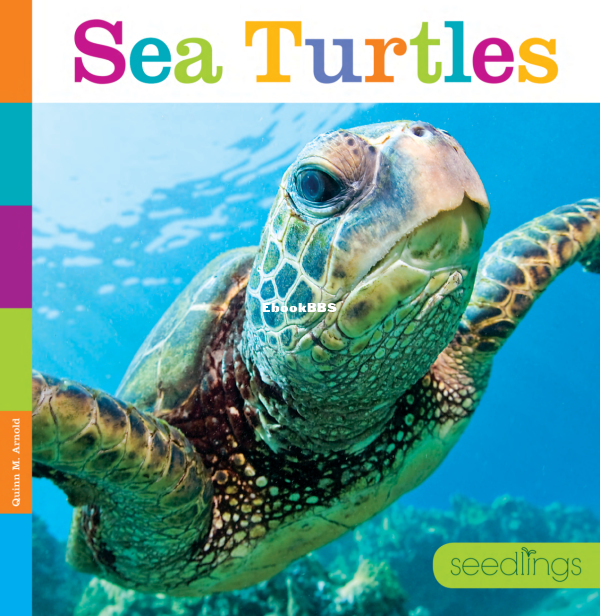 Sea Turtles (Seedlings) - 1.png