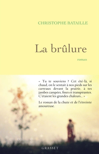 La brûlure (Christophe Bataille [Bataille, Christophe]) (Z-Library).jpg