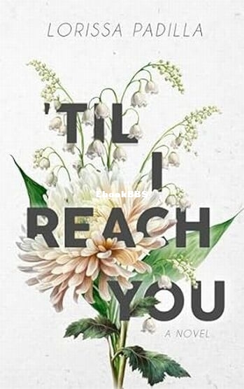 Til I Reach You.jpg