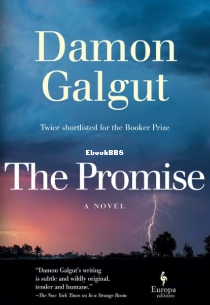 The Promise - Damon Galgut.jpg