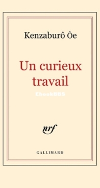 Un Curieux Travail -  Kenzaburô Ôé - French