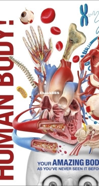 Human Body! Knowledge Encyclopedia - DK Smithsonian - English