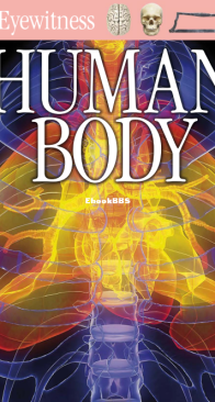 Human Body - DK Eyewitness - Richard Walker - English