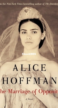 The Marriage of Opposites - Alice Hoffman - English