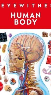 Human Body New Edition - DK Eyewitness - English