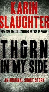 Thorn In My Side - Karin Slaughter - English