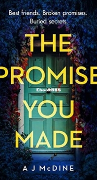 The Promise You Made - A J McDine - English